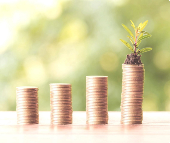 Income & Growth