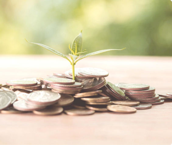 Lifetime Income