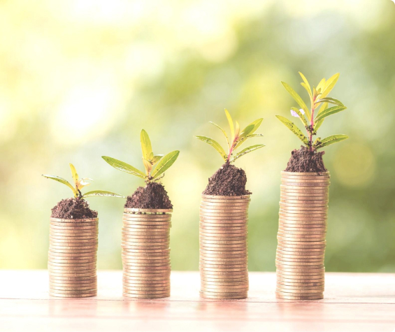 Long-Term Growth